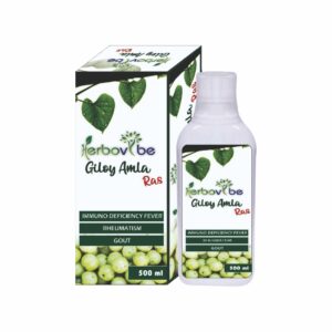 Herbovibe Giloy Amla 500ml image