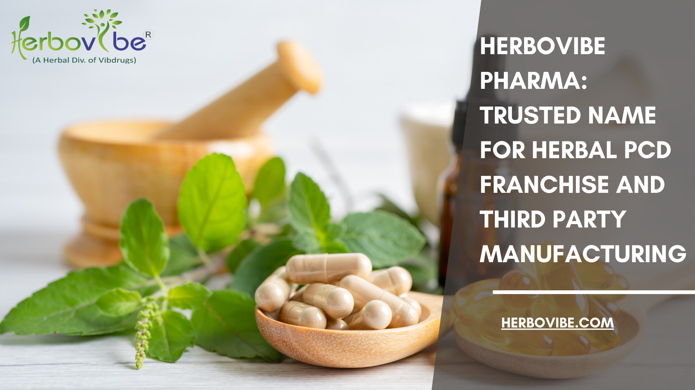 Herbovibe Pharma: Trusted Name for Herbal PCD Franchise and Third Party Manufacturing