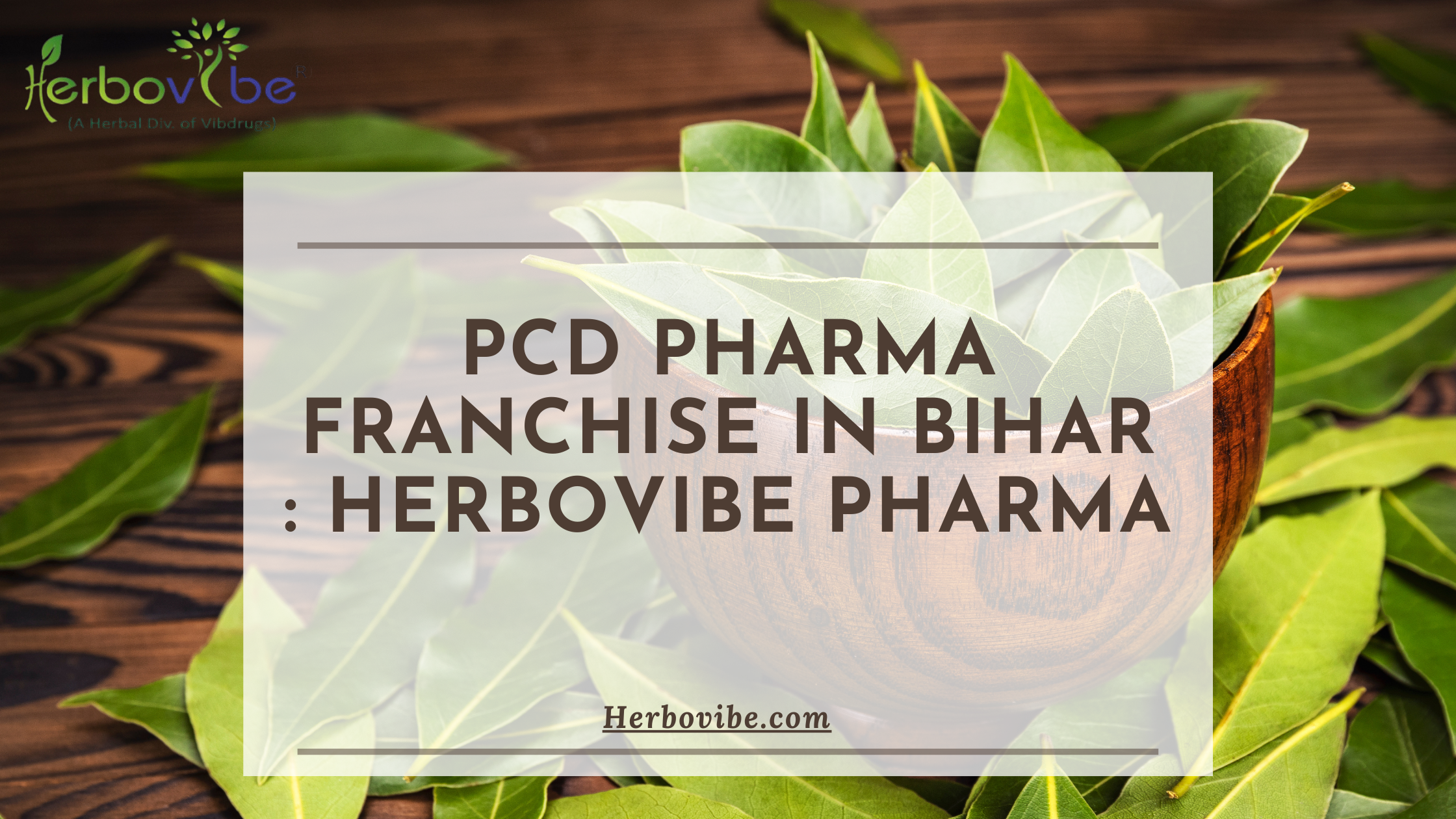 Herbal Pcd Pharma Franchise in Bihar : Herbovibe Pharma