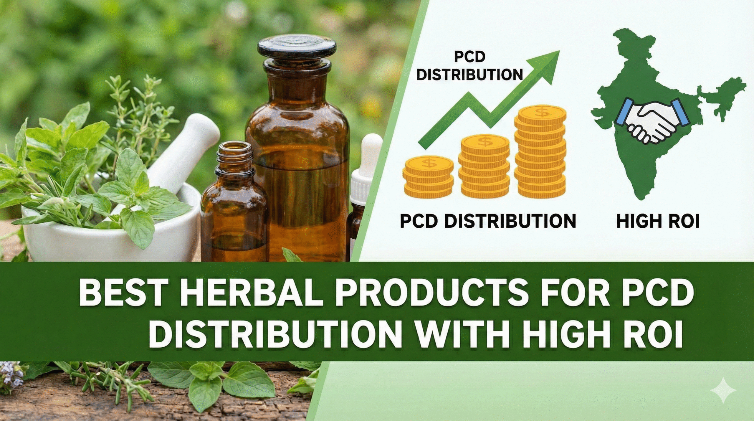 Herbal pcd pharma blog image