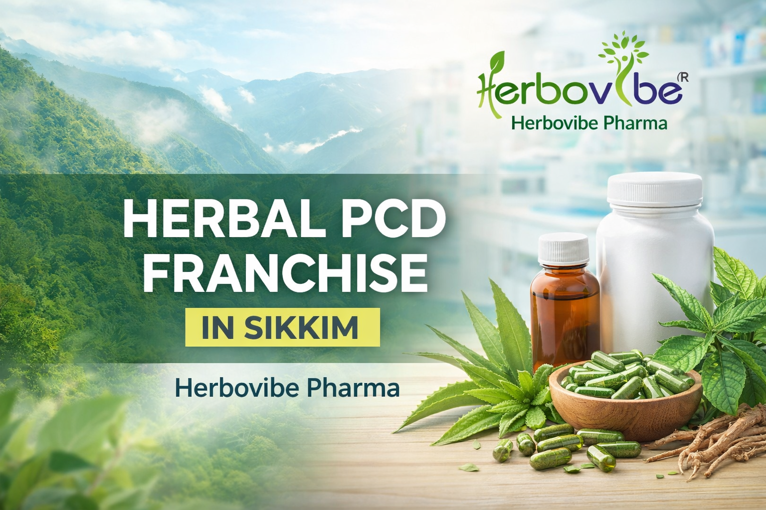 Herbal PCD Franchise in Sikkim: Herbovibe Pharma blog title image