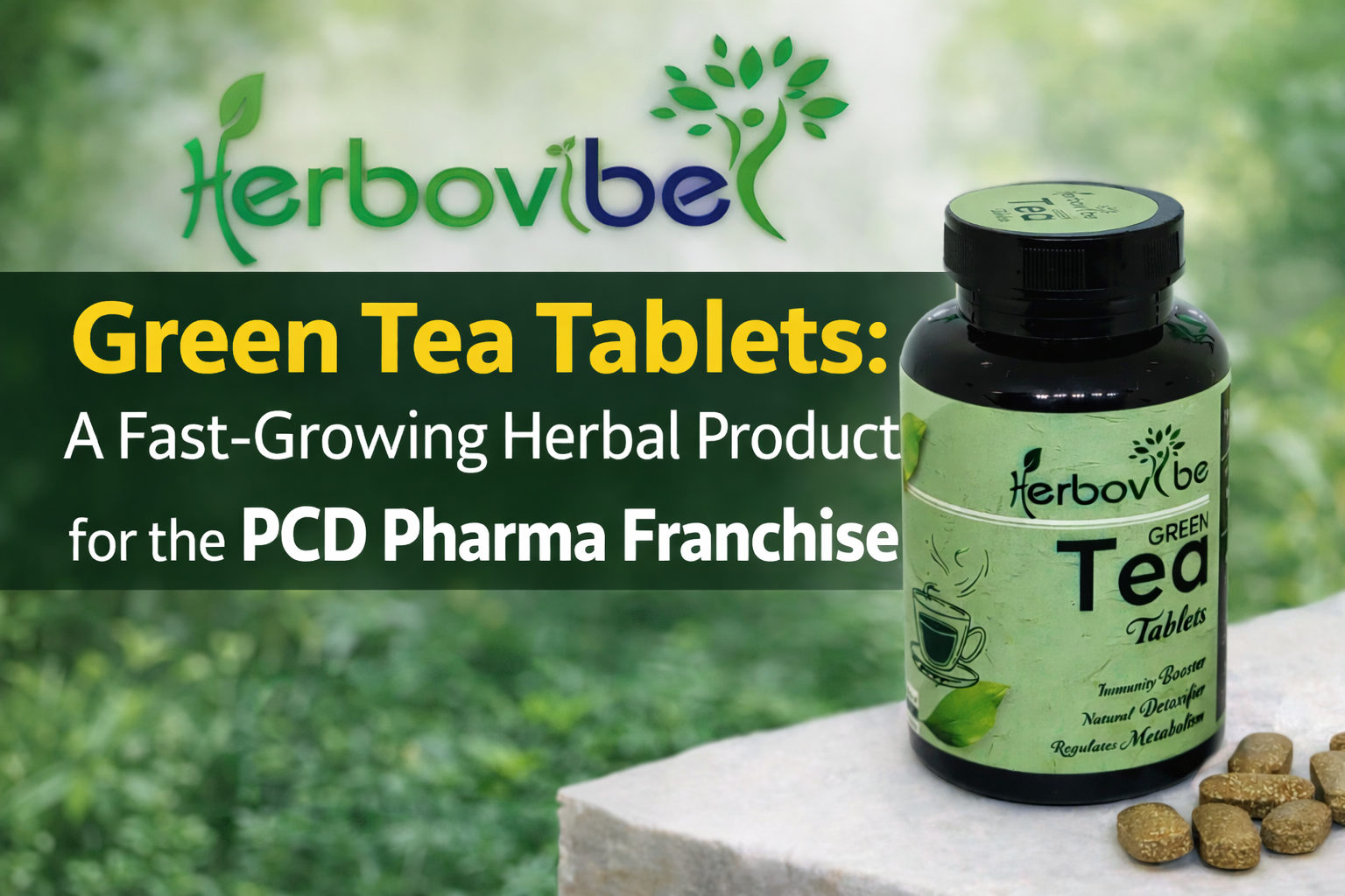 Green Tea Tablets – Fast Growing Herbal Product for PCD Pharma Franchise